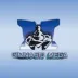 Logo de Gimnasio Mega