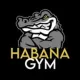 Logo de Habana Gym